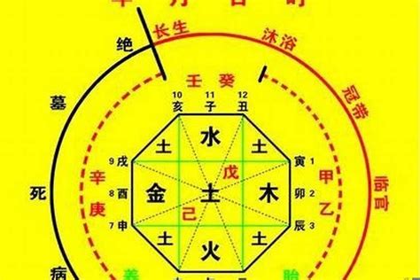 五行忌神|八字入门基础 第六篇 如何判断八字喜用神